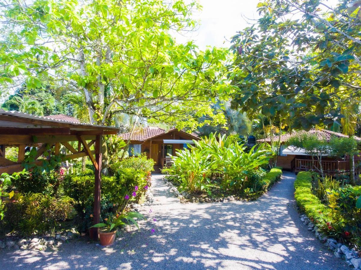 Casa Marcellino Lodge Cahuita Eksteriør billede