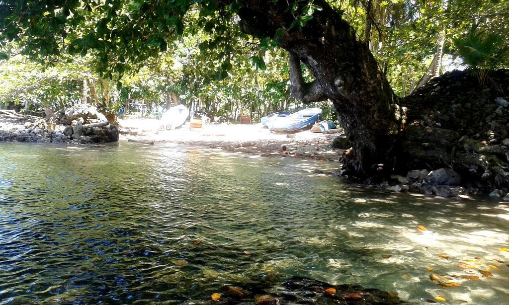 Casa Marcellino Lodge Cahuita Eksteriør billede