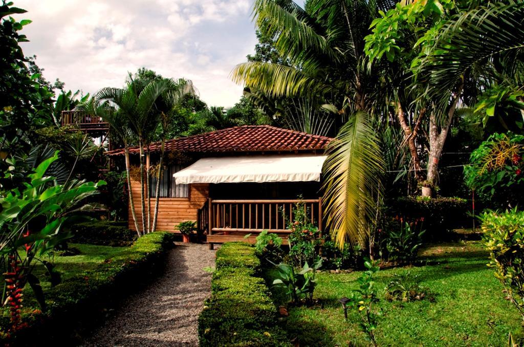 Casa Marcellino Lodge Cahuita Værelse billede