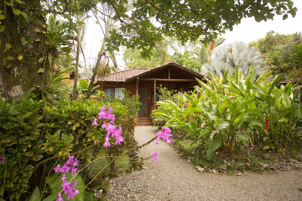 Casa Marcellino Lodge Cahuita Eksteriør billede