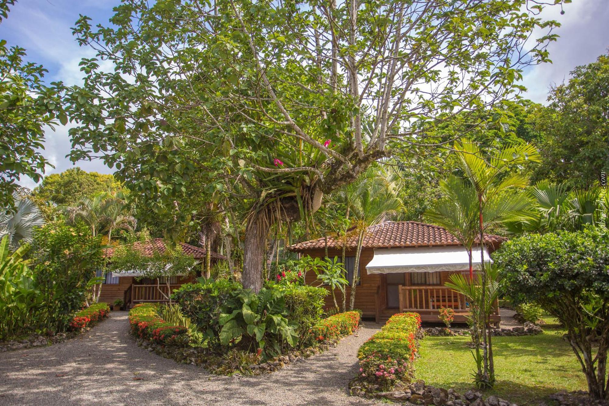 Casa Marcellino Lodge Cahuita Eksteriør billede