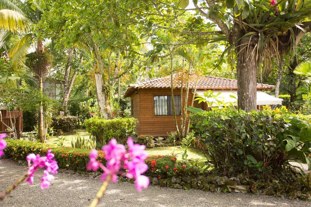 Casa Marcellino Lodge Cahuita Eksteriør billede