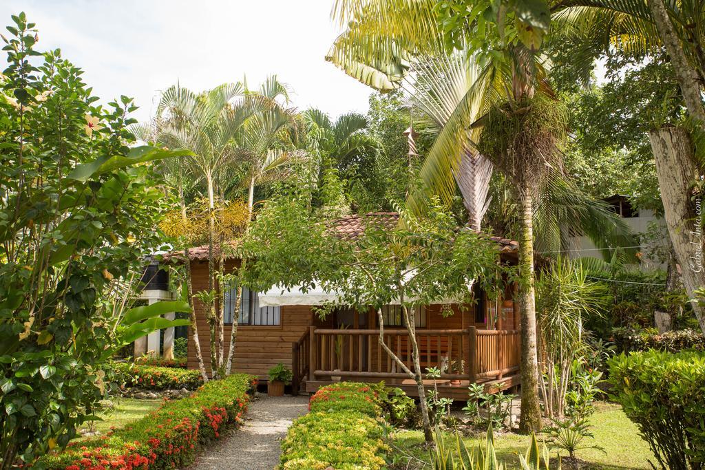 Casa Marcellino Lodge Cahuita Eksteriør billede