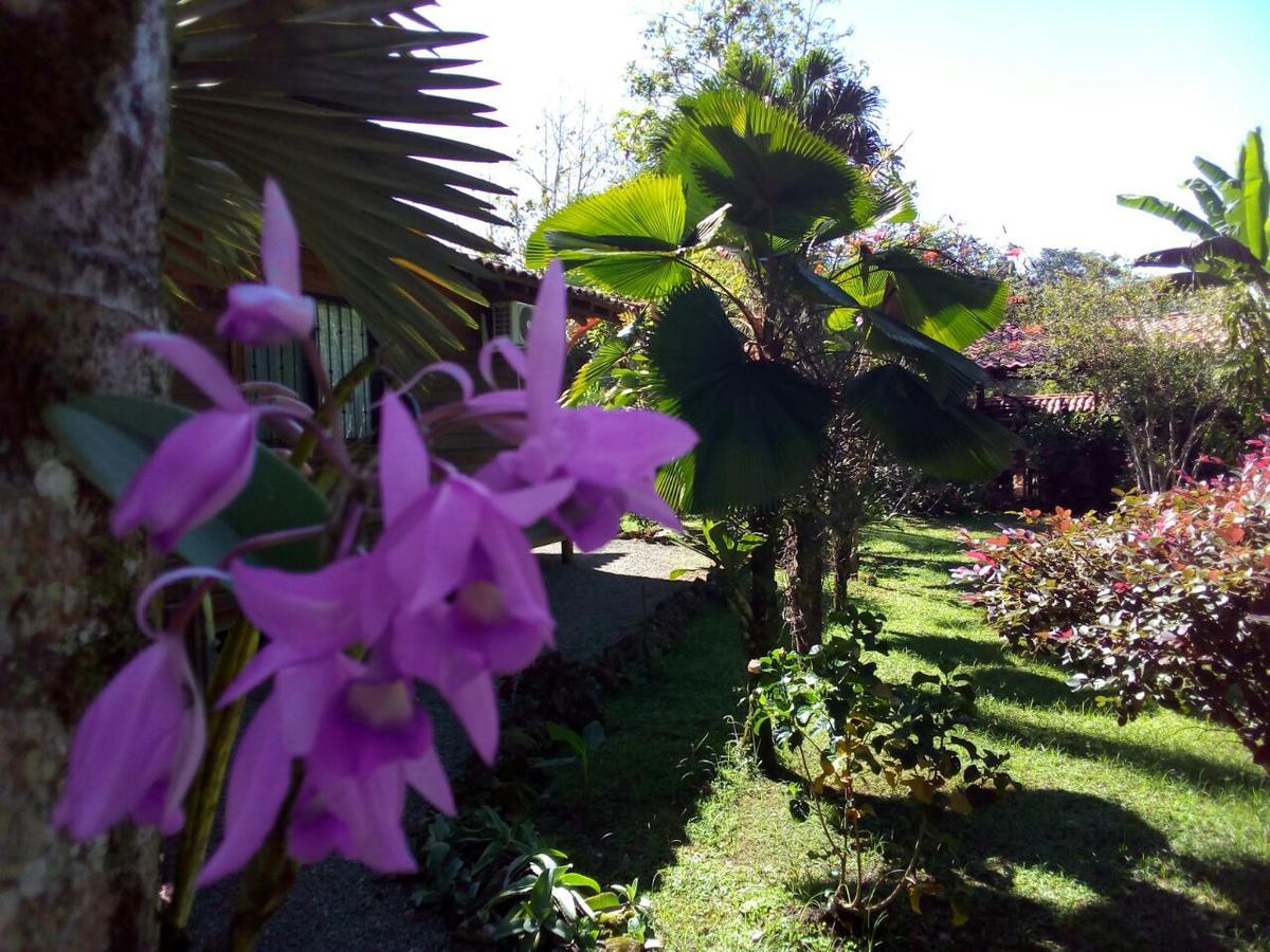 Casa Marcellino Lodge Cahuita Eksteriør billede