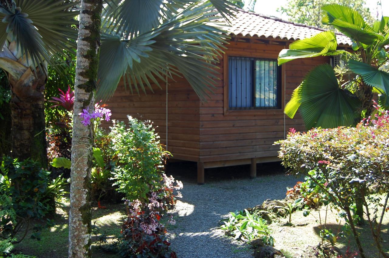 Casa Marcellino Lodge Cahuita Eksteriør billede