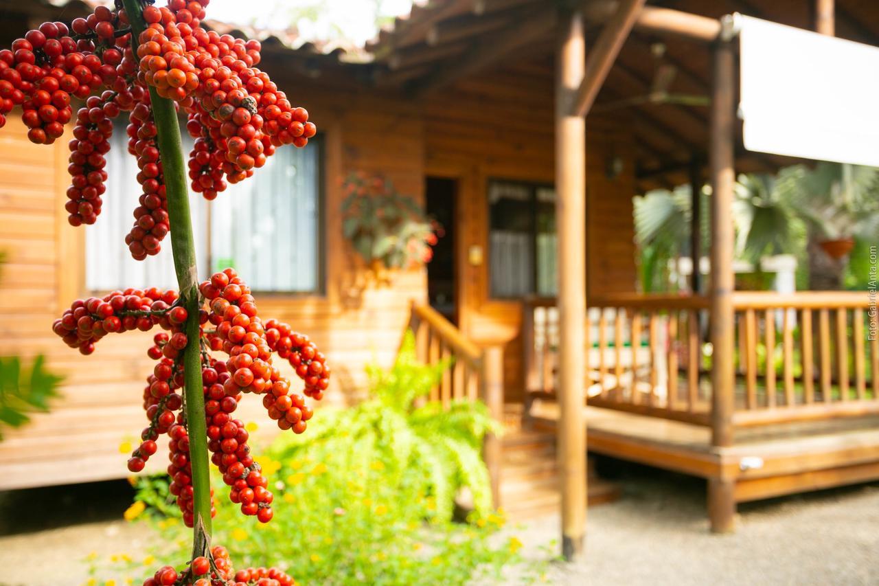 Casa Marcellino Lodge Cahuita Eksteriør billede