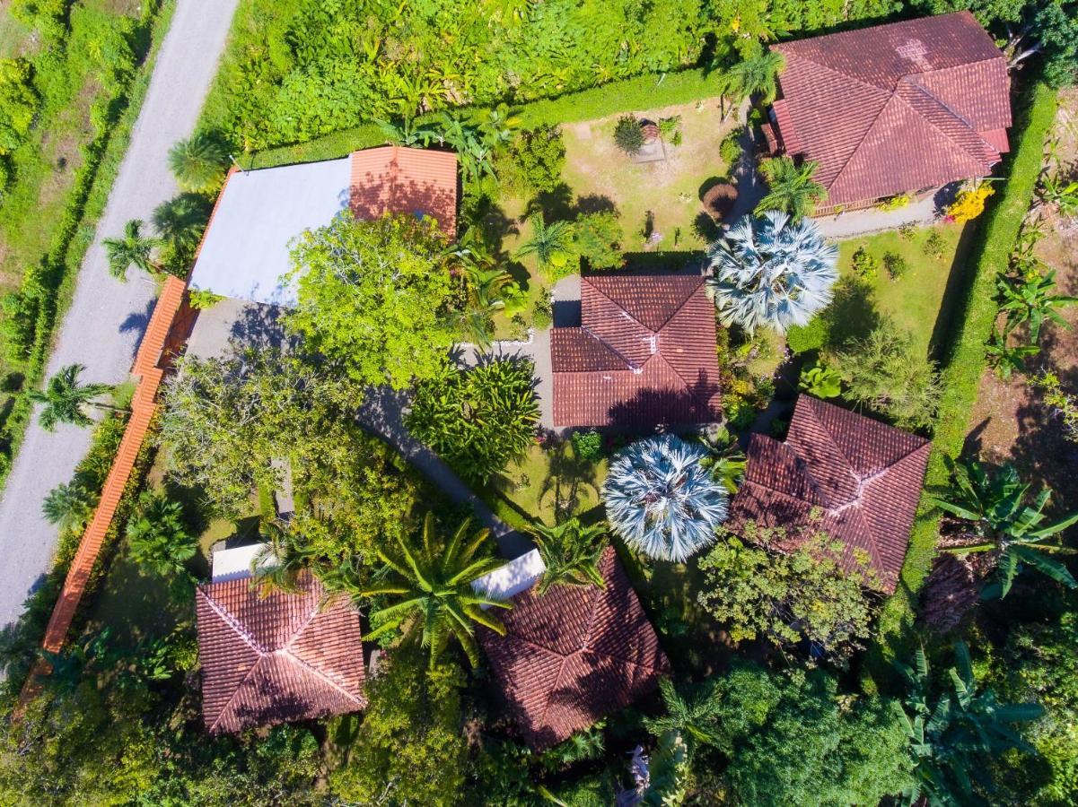 Casa Marcellino Lodge Cahuita Eksteriør billede