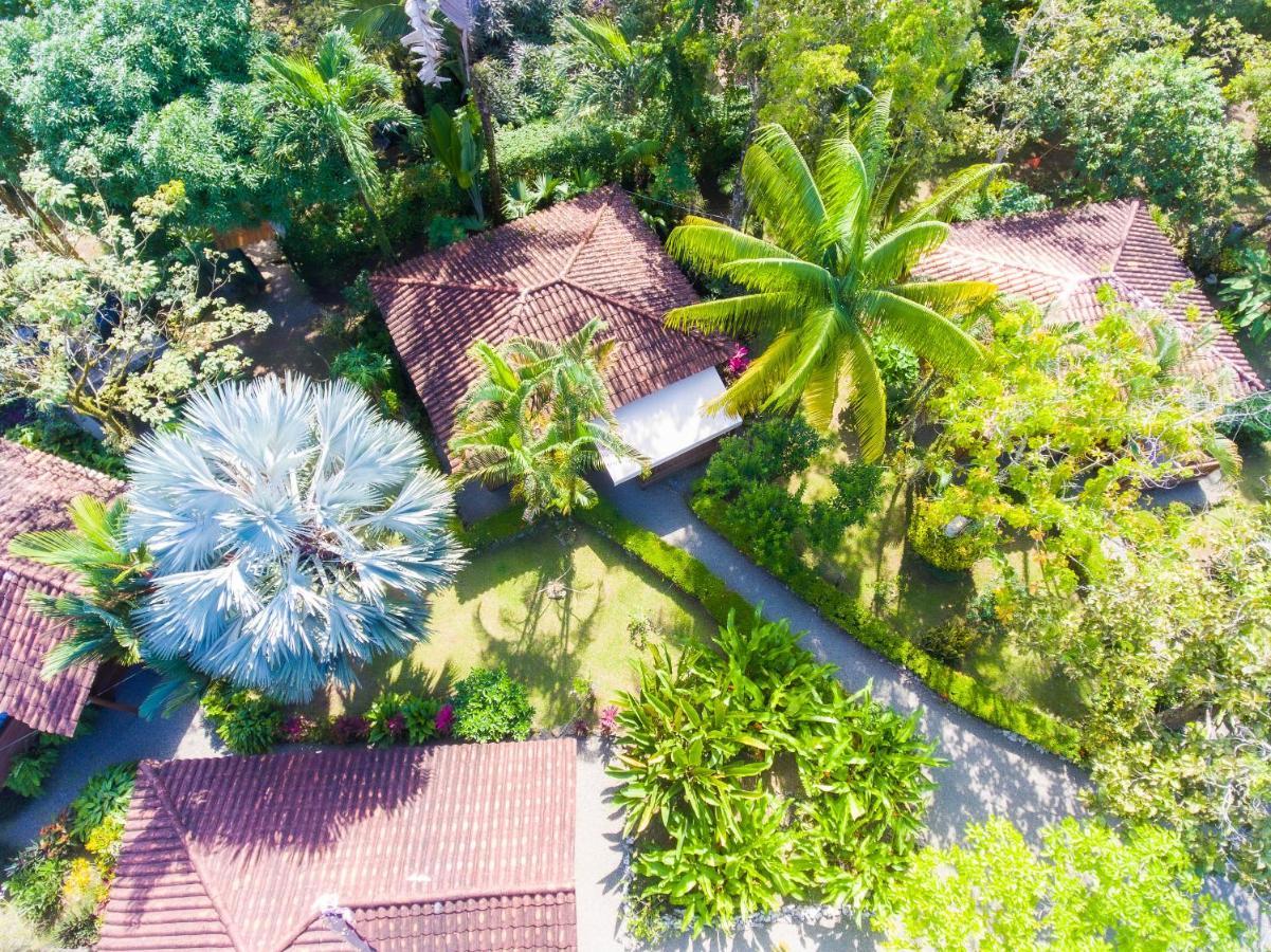 Casa Marcellino Lodge Cahuita Eksteriør billede